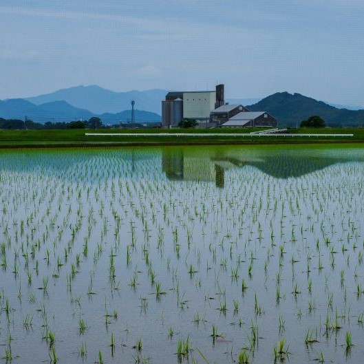 梅雨空が似合う田園風景
